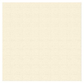 Card Stock Ivory 30cmx30cm