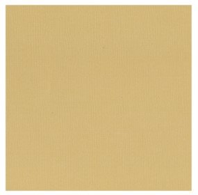 Card Stock Latte 30cmx30cm