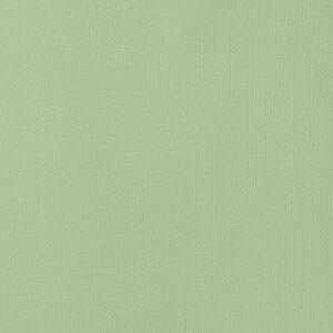 Card Stock Mint 30cmx30cm
