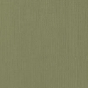 Card Stock Olive 30cmx30cm