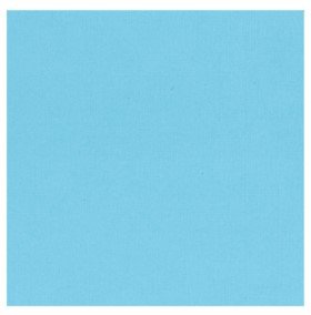 Card Stock Pacific 30cmx30cm