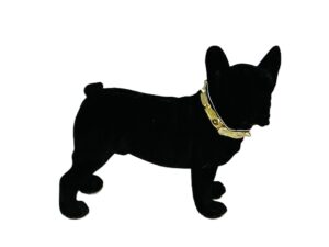 Gold Collar Black Boston – 24cm