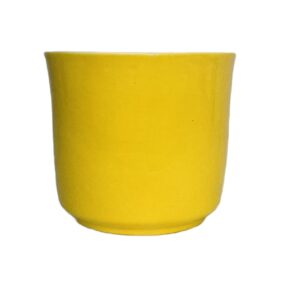 Orchid Pot 20 – Mustard Gloss